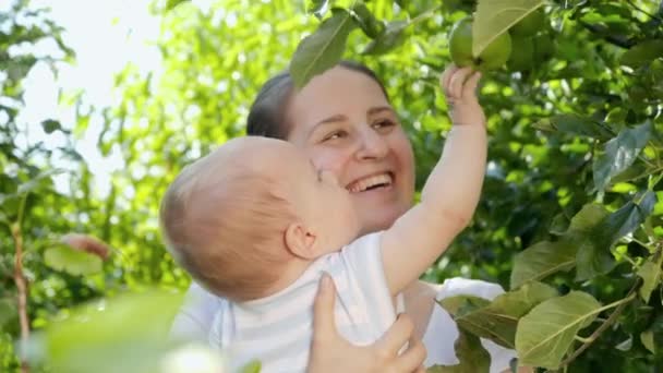 Lachende moeder met zoontje rijpe groene appels plukkend in boomgaard. Concept van biologische voeding, voeding, gezondheid van het gezin en ontwikkeling van kinderen. — Stockvideo