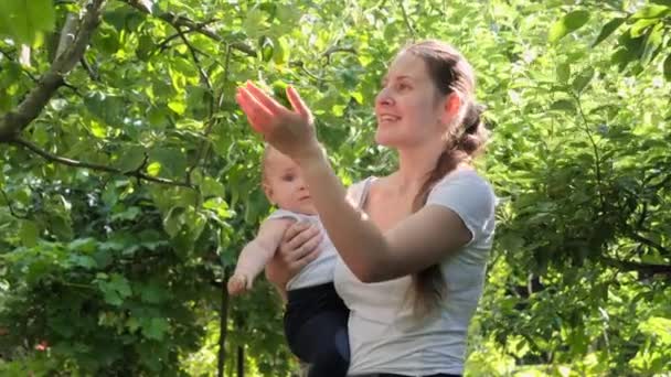 Gelukkige lachende moeder die haar zoontje vasthoudt en hem bomen laat zien in de boomgaard. Concept van biologische voeding, voeding, gezondheid van het gezin en ontwikkeling van kinderen. — Stockvideo