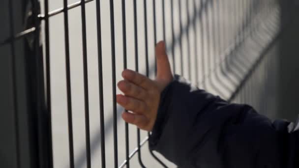 Little boy holding metal fence with hands. Concept of poverty, immigration, bullying and kids stress — Stock Video