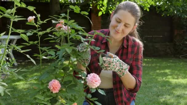Πορτρέτο της νεαρής κηπουρός γυναίκα κοπή φύλλα και τη φροντίδα των τριαντάφυλλων στον κήπο πίσω αυλή — Αρχείο Βίντεο