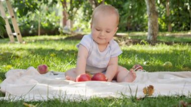 Bahçede yetişen olgun kırmızı elmaları toplayıp tutan tatlı bir oğlan çocuğu. Çocuk gelişimi, ebeveynlik ve sağlıklı organik gıda yetiştirme kavramı.
