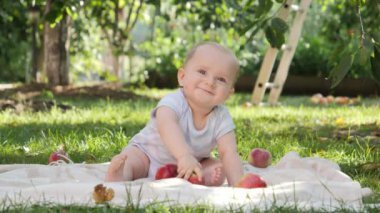 Elma ağacının altında çimlerde oturan ve kırmızı elmaları tutan sevimli erkek bebek portresi. Çocuk gelişimi, ebeveynlik ve sağlıklı organik gıda yetiştirme kavramı.
