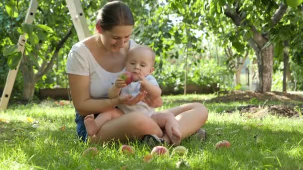 Boldog mosolygós anya a kisfiával, aki a gyümölcsösben ül és érett almákat gyűjt. A gyermekfejlődés, a szülői nevelés és a családi pihenés koncepciója együtt a szabadban. — Stock videók