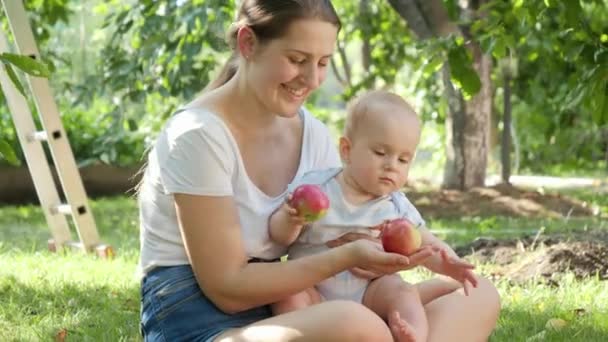 Aranyos mosolygós kisfiú anyával, aki vörös érett almát tart a gyümölcsösben. A gyermekfejlődés, a szülői nevelés és a családi pihenés koncepciója együtt a szabadban. — Stock videók