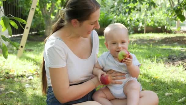 Portret van een lachend jongetje dat een rijpe appel vasthoudt en bijt in een boomgaard. Concept van kinderontwikkeling, ouderschap en gezonde biologische voeding. — Stockvideo