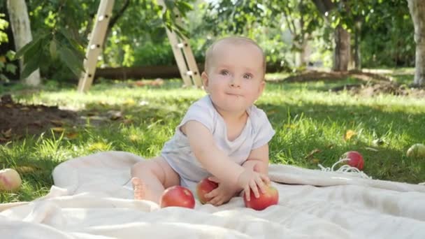 Bébé garçon mignon assis sur l'herbe au verger et jouant avec des pommes mûres. Concept de développement de l'enfant, parentalité et alimentation biologique saine. — Video