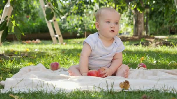 小男孩在后院花园里的苹果树下采摘成熟的苹果。儿童发展、养育子女和健康有机食品种植的概念. — 图库视频影像