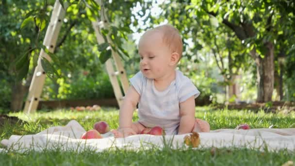 Χαρούμενο χαμογελαστό αγοράκι που παίζει με μήλα στον κήπο πίσω αυλή. Έννοια της ανάπτυξης παιδιών, της γονικής μέριμνας και της υγιούς βιολογικής καλλιέργειας τροφίμων. — Αρχείο Βίντεο