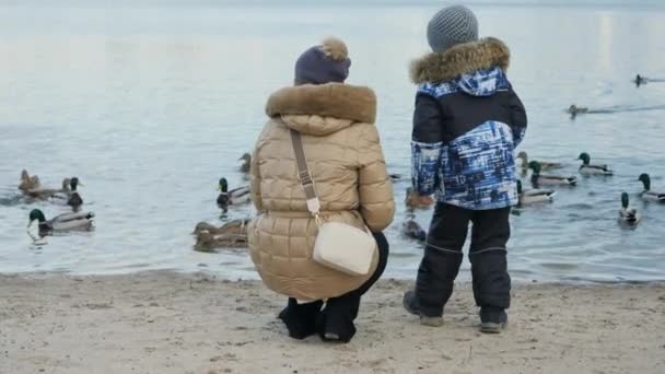 Вид ззаду на матір з маленьким хлопчиком, що годує качок у холодний зимовий день у парку — стокове відео