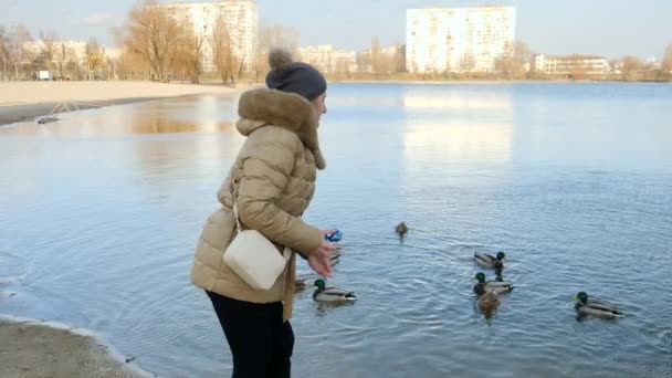 추운 겨울날 연못에 있는 오리에게 빵 과 씨앗을 던지는 젊은 여자 — 비디오