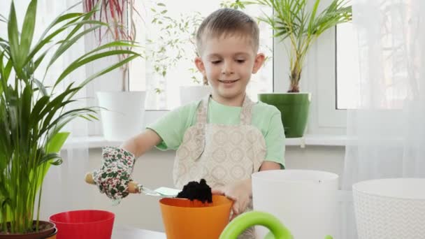 Маленький улыбающийся мальчик разбрасывает удобренную почву в цветочных горшках с металлической лопатой. Концепция садоводства, хобби, посадки на дому. — стоковое видео
