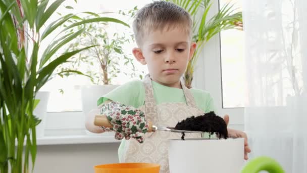 Porträt eines kleinen Jungen, der Erde in bunten Töpfen zum Pflanzen von Blumen ausbreitet. Konzept der Gartenarbeit, Hobby, Hausbepflanzung. — Stockvideo