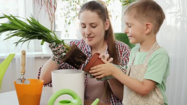 母親が家で鉢に木を植えるのを手伝ってくれる幸せな笑顔の少年。園芸、趣味、家の植え付けの概念. — ストック動画