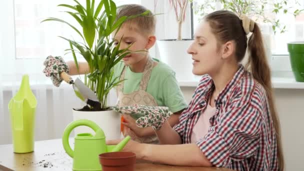 自宅で新しい鍋に花を移植母親と小さな男の子の肖像画。園芸、趣味、家の植え付けの概念. — ストック動画