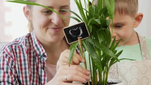 可爱的男孩，妈妈带着爱心在花盆里放标牌，还有生长中的植物。园艺、业余爱好、家庭种植的概念. — 图库视频影像