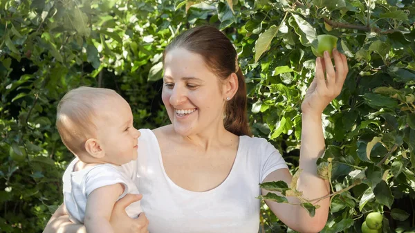 Ritratto di bella madre che mostra mele in crescita nel frutteto al suo piccolo figlio — Foto Stock