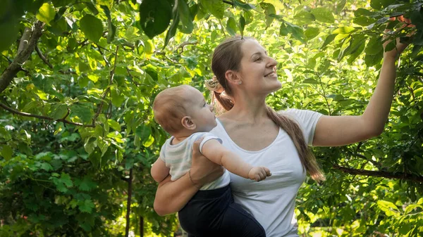 Felice madre sorridente abbracciando il suo bambino e mostrandogli alberi che crescono nel frutteto. Concetto di cibo biologico, nutrizione, salute familiare e sviluppo dei bambini. — Foto Stock