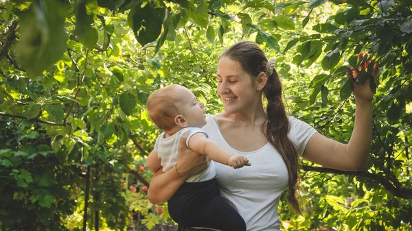 Retrato tonificado de una madre sonriente mostrando a su hijo pequeño cultivando manzanas en árboles en huerto — Foto de Stock