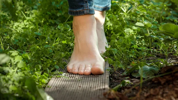 Primer plano de los pies femeninos desnudos caminando sobre tabla de madera a través de la hierba densa en el jardín. Concepto de libertad. naturaleza amorosa y recreación —  Fotos de Stock