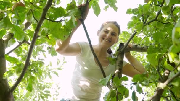 Portrait of happy smiling woman on top of the apple tree looking down and smiling in camera. Concept of organic food, nutrition and farming — Stock Video