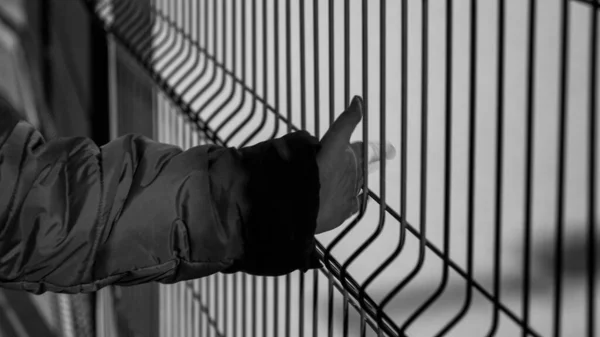 Black and white closeup imag eof little boy holding metal net fence — Stock Photo, Image