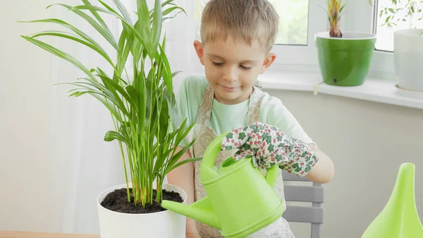Pequeño niño regando plantas en casa con una pequeña regadera de plástico. Concepto de jardinería, hobby, plantación casera. — Foto de Stock