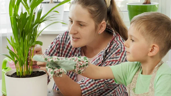 Bambino con madre che si prende cura e pulisce fiori e piante domestiche in vaso — Foto Stock