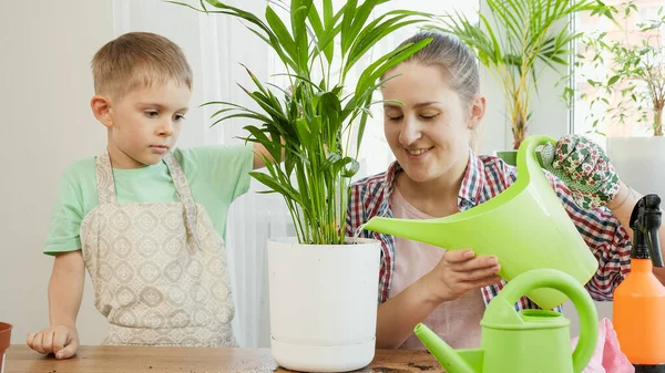 Liten pojke med mor som tar hand om inhemska blommor som växer i krukor. Begreppet trädgårdsskötsel, hobby, hemplantering. — Stockfoto