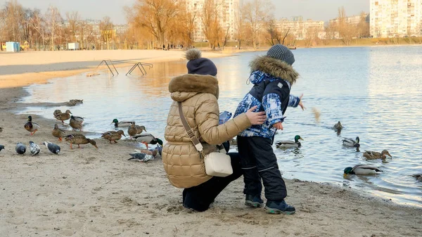 Młoda matka z małym synem karmi kaczki chlebem i nasionami nad jeziorem w parku miejskim — Zdjęcie stockowe