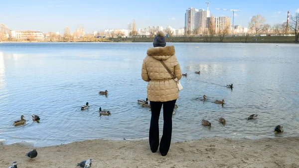 Beautiful young woman standing at the lake and feeding ducks and birds with bread — Stock Photo, Image