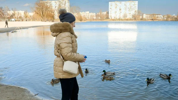 Young woman throwing bread and seeds to ducks on pond on cold winter day — Stock Photo, Image