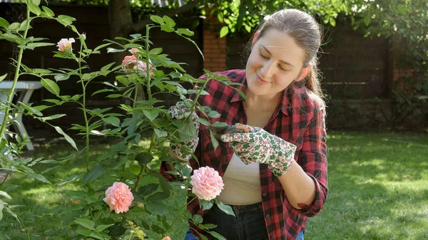 Retrato de una joven jardinera cortando hojas y cuidando rosas en el jardín del patio trasero —  Fotos de Stock