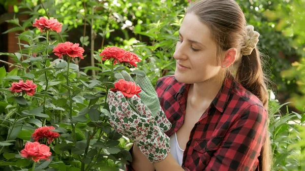 Hermosa mujer jardinero sonriente trabajando en el jardín y mirando rosas rosadas crecientes —  Fotos de Stock