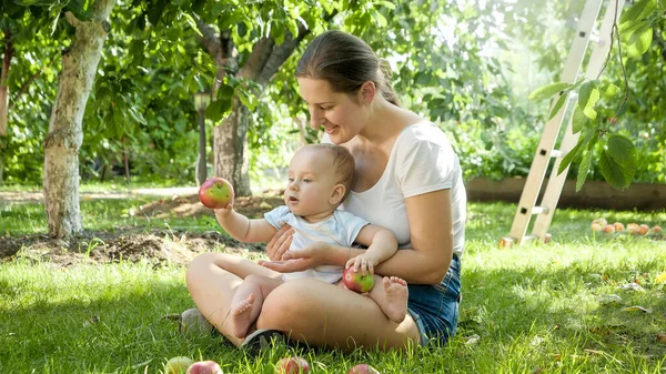 Милий маленький хлопчик розслабляється в саду з матір'ю і дивиться на свіжі стиглі яблука — стокове фото