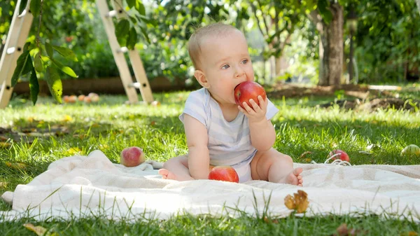 Portrait of cute baby boy sitting on grass in garden and eating ripe red apple — Stock Photo, Image