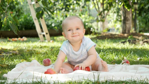 Portrait of cute baby boy sitting on grass under apple tree and holding red ripe apples. Concept of child development, parenting and healthy organic food growing. — Stock Photo, Image
