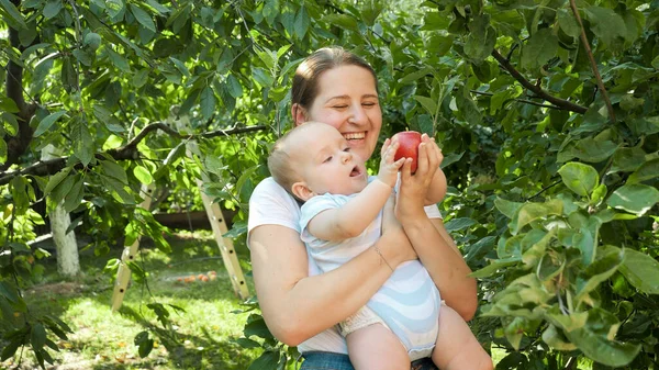Young smiling mother picking ripe apple from tree branch and giving it to her baby son. Concept of child development, parenting and healthy organic food growing. — Stock Photo, Image