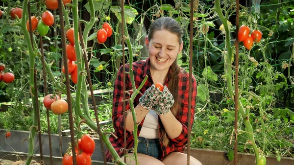 Портрет веселой улыбающейся женщины-фермера, радующейся после сбора хорошего урожая красных помидоров — стоковое фото
