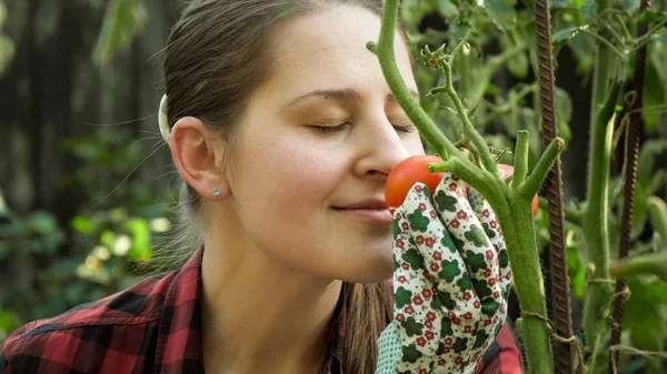 Portrait of smiling young woman holding and smelling ripe tomato growing at house backyard garden. Concept of gardening, domestic food and healthy organic nutrition. — Stock Photo, Image