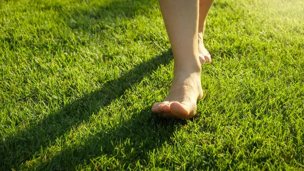 Gros plan de pieds adultes marchant sur de l'herbe verte fraîche contre la lumière du coucher du soleil — Photo