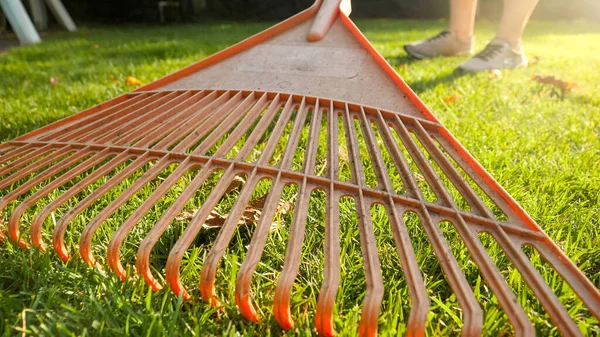 Primer plano del jardinero utilizando rastrillos de jardín para recoger hojas y escombros en el jardín —  Fotos de Stock