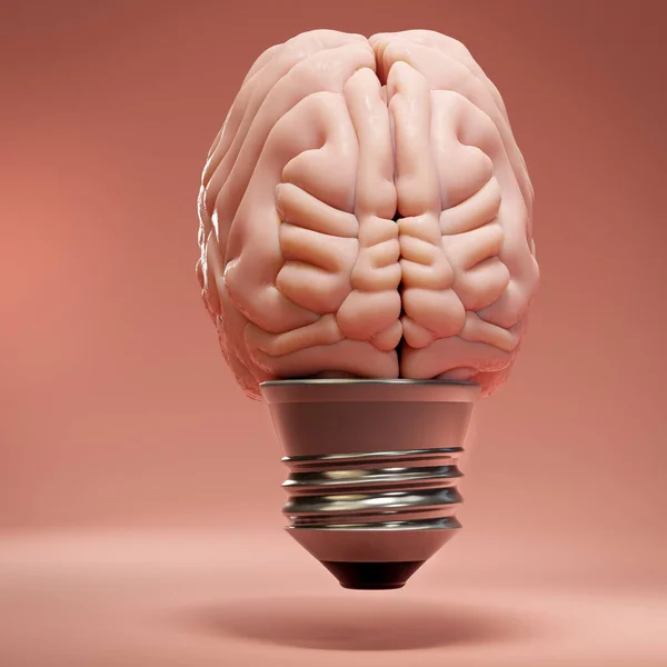 Bombilla Con Cerebro Humano Concepto Inspiración Creatividad Idea Educación Innovación — Foto de Stock