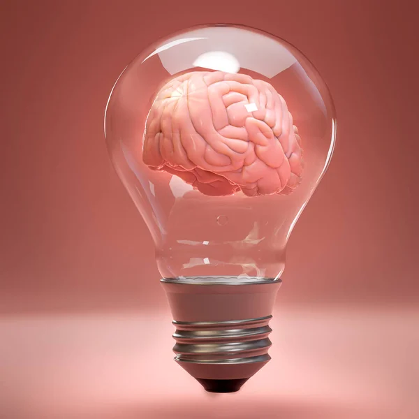 Cerebro Humano Dentro Una Bombilla Incandescente Concepto Inspiración Creatividad Idea — Foto de Stock
