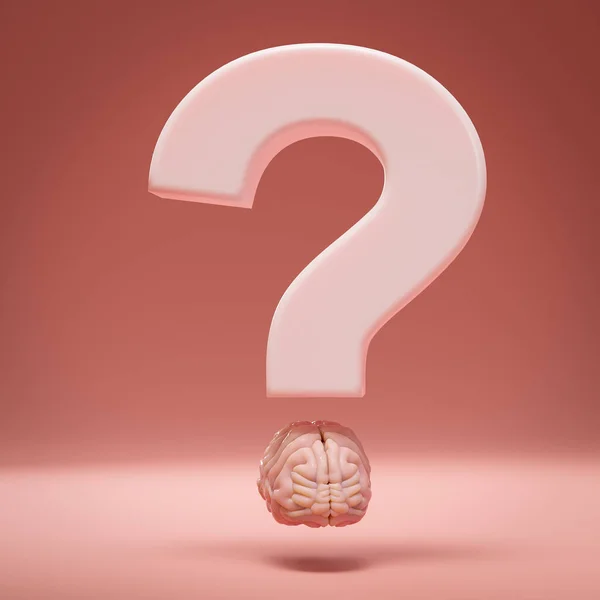 Signo Interrogación Con Cerebro Humano Lugar Punto Concepto Educación Preguntas — Foto de Stock