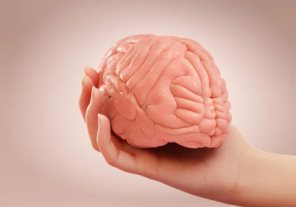 Mano Sosteniendo Cerebro Humano Sobre Fondo Estudio Rosa Concepto Educación — Foto de Stock