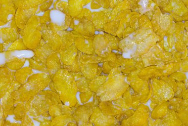 Mısır gevreği süt