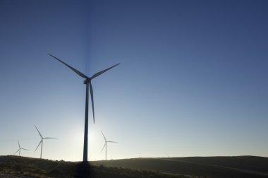rüzgar enerjisi