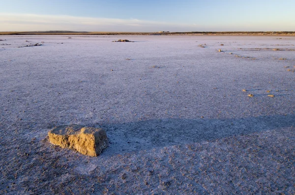 Drought — Stock Photo, Image