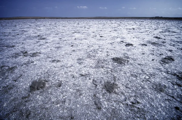 Desolate landscape — Stock Photo, Image