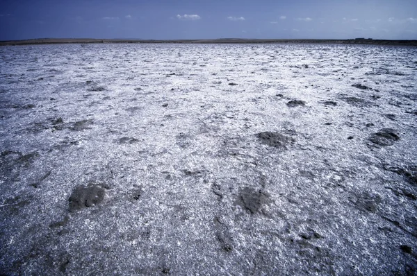 Paisagem desolada — Fotografia de Stock